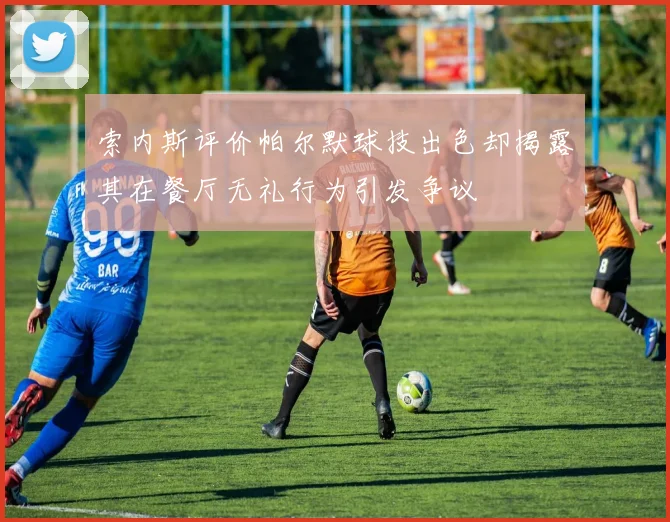 索内斯评价帕尔默球技出色却揭露其在餐厅无礼行为引发争议