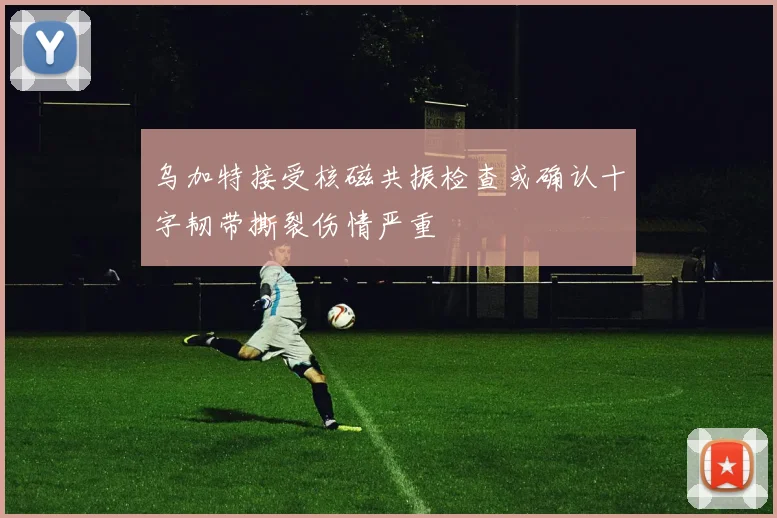 乌加特接受核磁共振检查或确认十字韧带撕裂伤情严重