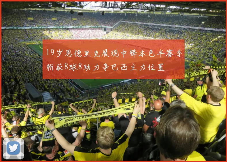 19岁恩德里克展现中锋本色半赛季斩获8球8助力争巴西主力位置