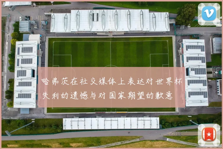 哈弗茨在社交媒体上表达对世界杯失利的遗憾与对国家期望的歉意