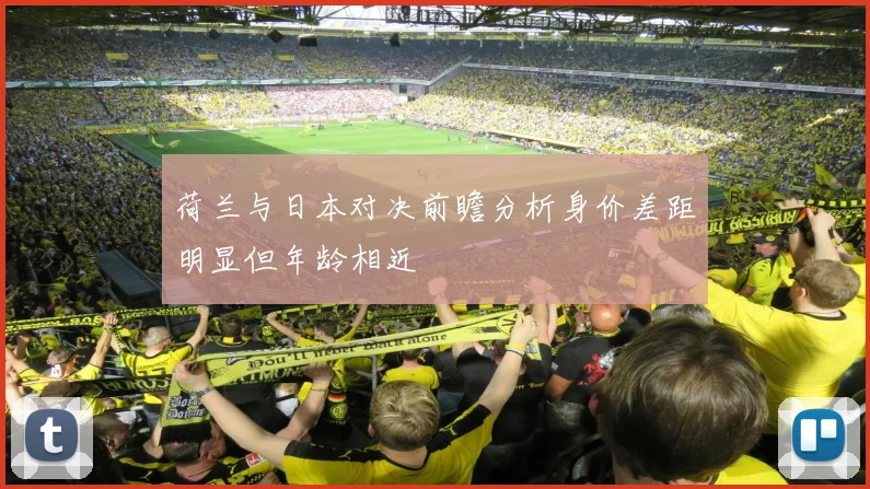 荷兰与日本对决前瞻分析身价差距明显但年龄相近