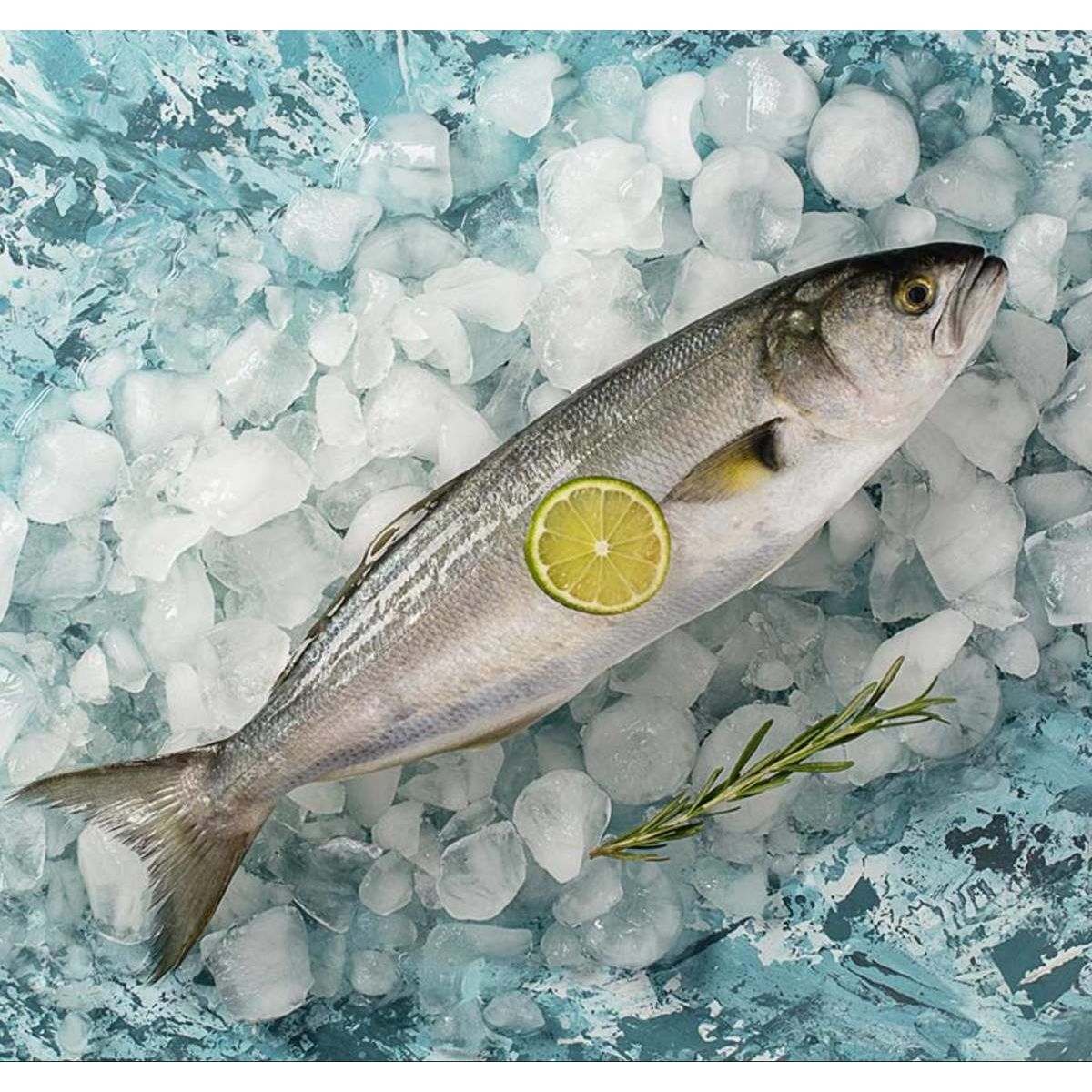 GroceryandMeat.com: Gutted Bluefish(Temizlenmis Lüfer), Wild Caught